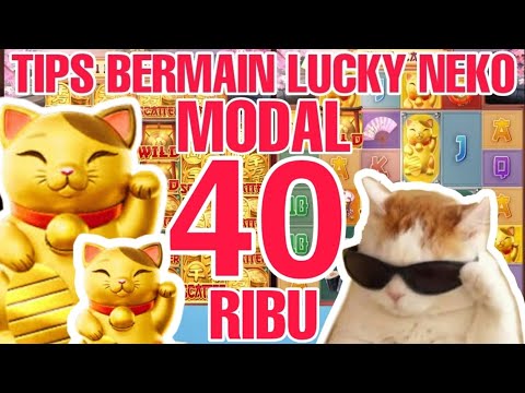 lucky neko slot pg demo